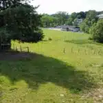 4798442_35920366.jpg