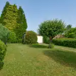 4806233_36045078.jpg