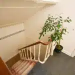 6553726_62566385.jpg