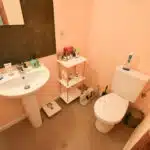 6553726_62566388.jpg