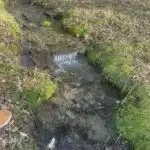6779737_66296119.jpg
