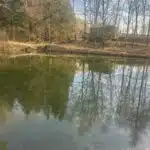 6779737_66296122.jpg