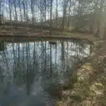 6779738_66296150.jpg