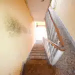 6808883_67267629.jpg