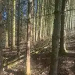 6965085_69395429.jpg