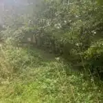 7009718_69977958.jpg